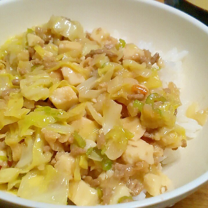 野菜たっぷりヘルシー中華丼風♪肉野菜あんかけ